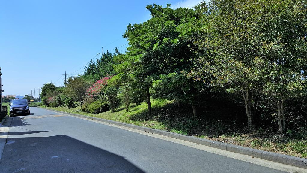 Cardinal House Villa Jeju Exterior photo